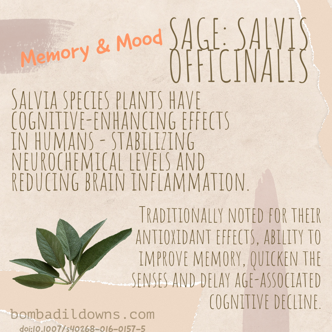 sage, natural medicine, herbs, plants as medicine, naturopathic
